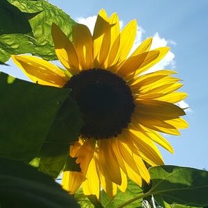 Meet your Posher, Robin